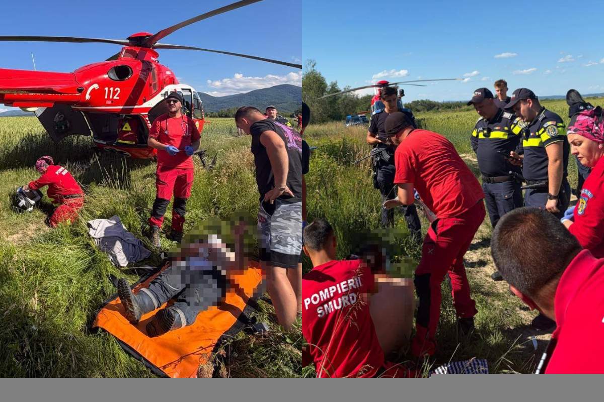 Intervenție dramatică în Brașov! Bărbat atacat de urs, salvat cu elicopterul SMURD
