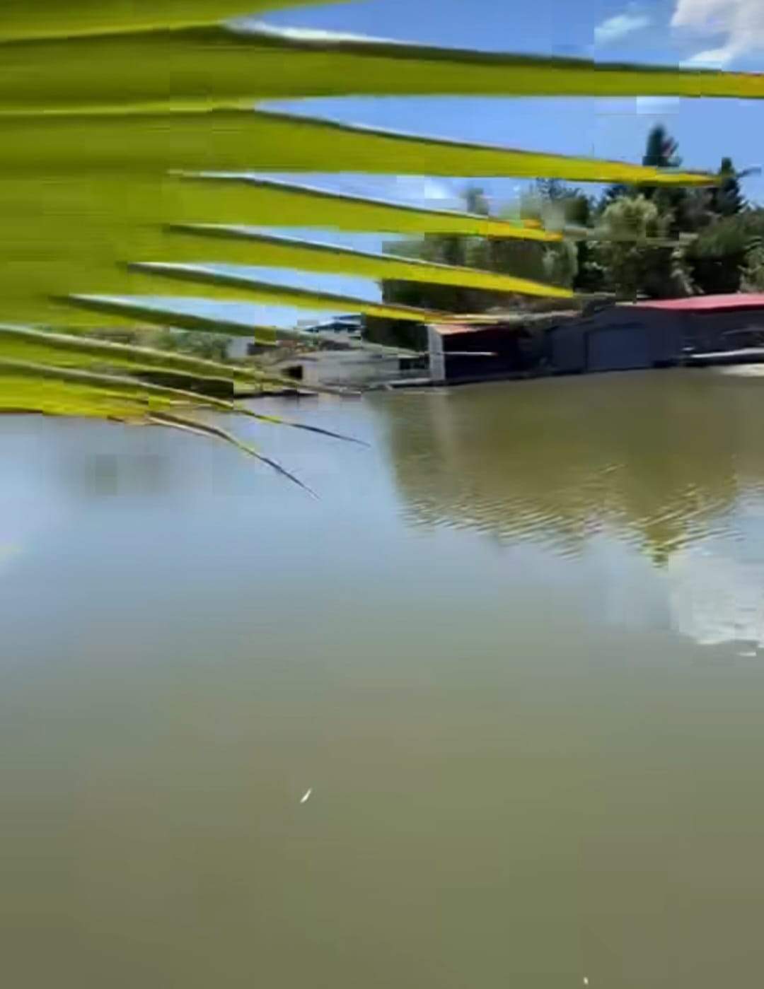 Cum arată terasa de lux a Anamariei Prodan. Impresara are o casă fabuloasă în Snagov | FOTO