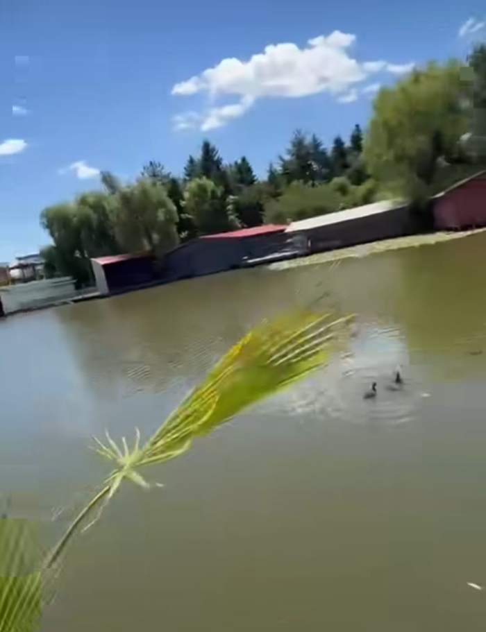 Cum arată terasa de lux a Anamariei Prodan. Impresara are o casă fabuloasă în Snagov | FOTO