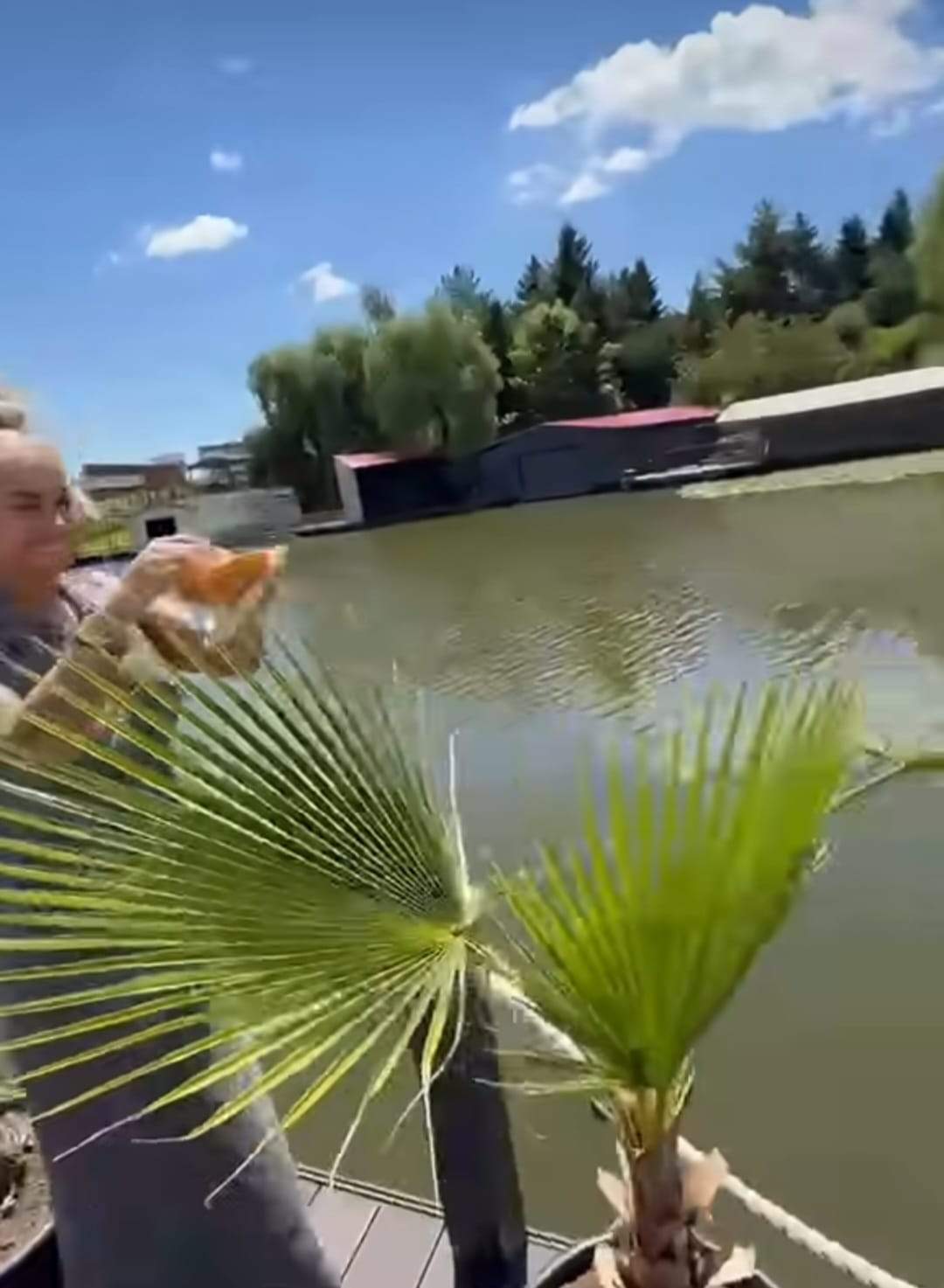 Cum arată terasa de lux a Anamariei Prodan. Impresara are o casă fabuloasă în Snagov | FOTO