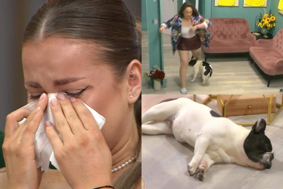 Scandal mare în casa Mireasa. Totul a pornit de la gestul pe care Claudia l-a făcut la adresa Maisei, cățelușa Emei