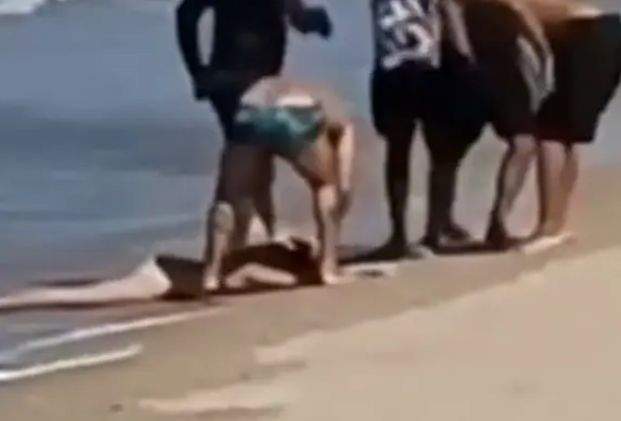 Copilul care a fost atacat de un rechin, înconjurat de multe persoane