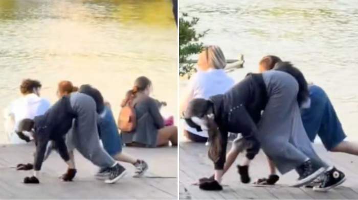 Colaj foto cu doi tineri care merg în patru labe