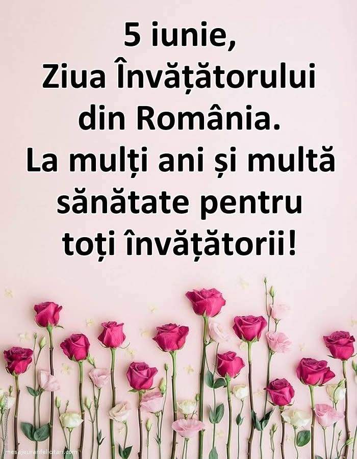 Mesaj pentru toți învățătorii