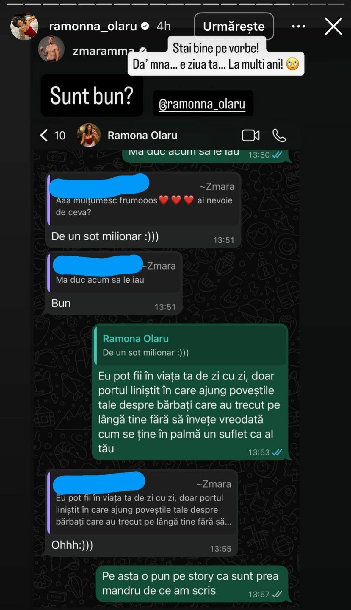 Conversația dintre Ramona Olaru și Mihai Zmărăndescu