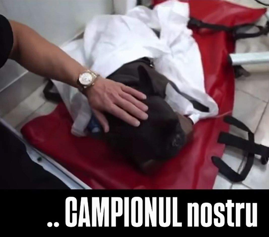 Cheluțu