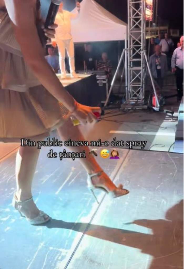 vladuta lupau