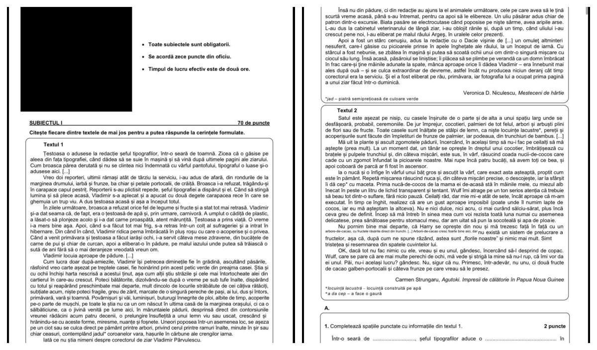 Subiectele de la Română din cadrul Evaluării Naționale, pe grupurile de părinți la nici o oră de la începerea examenului. Ar proveni dintr-o comisie