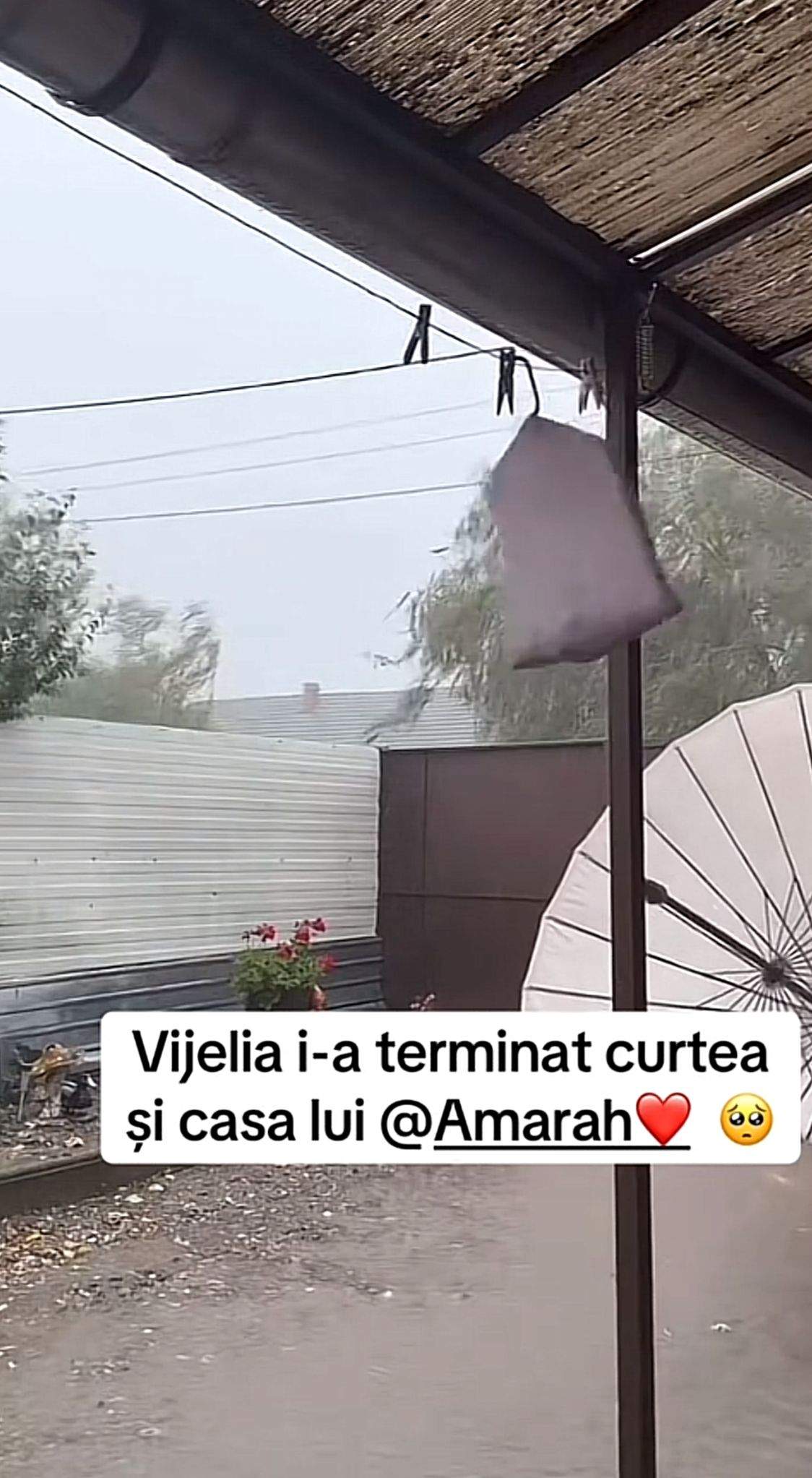 Curtea casei lui Amarah