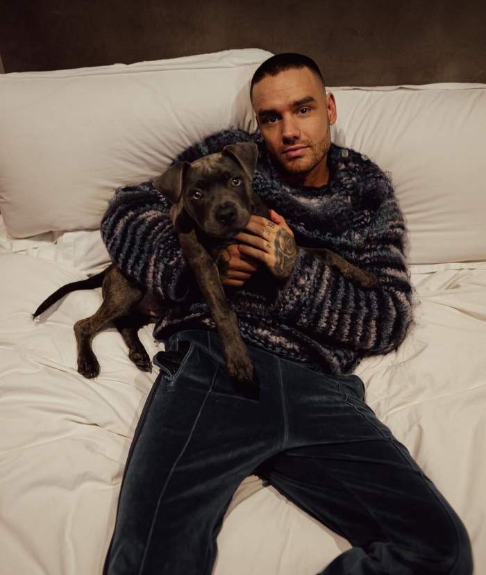 Liam Payne și cățelul său
