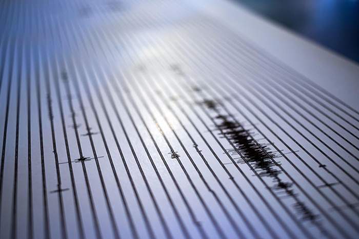 Seismogramă, citire a cutremurului de la seismometru sau seismograf