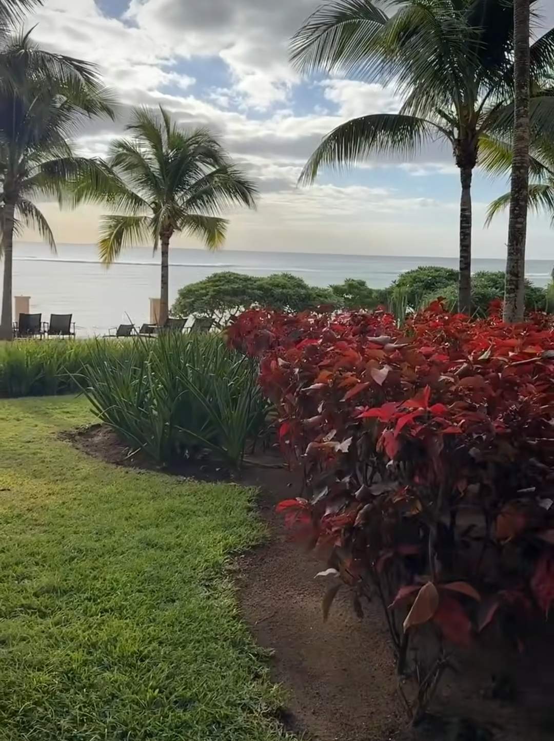peisaj din Mauritius