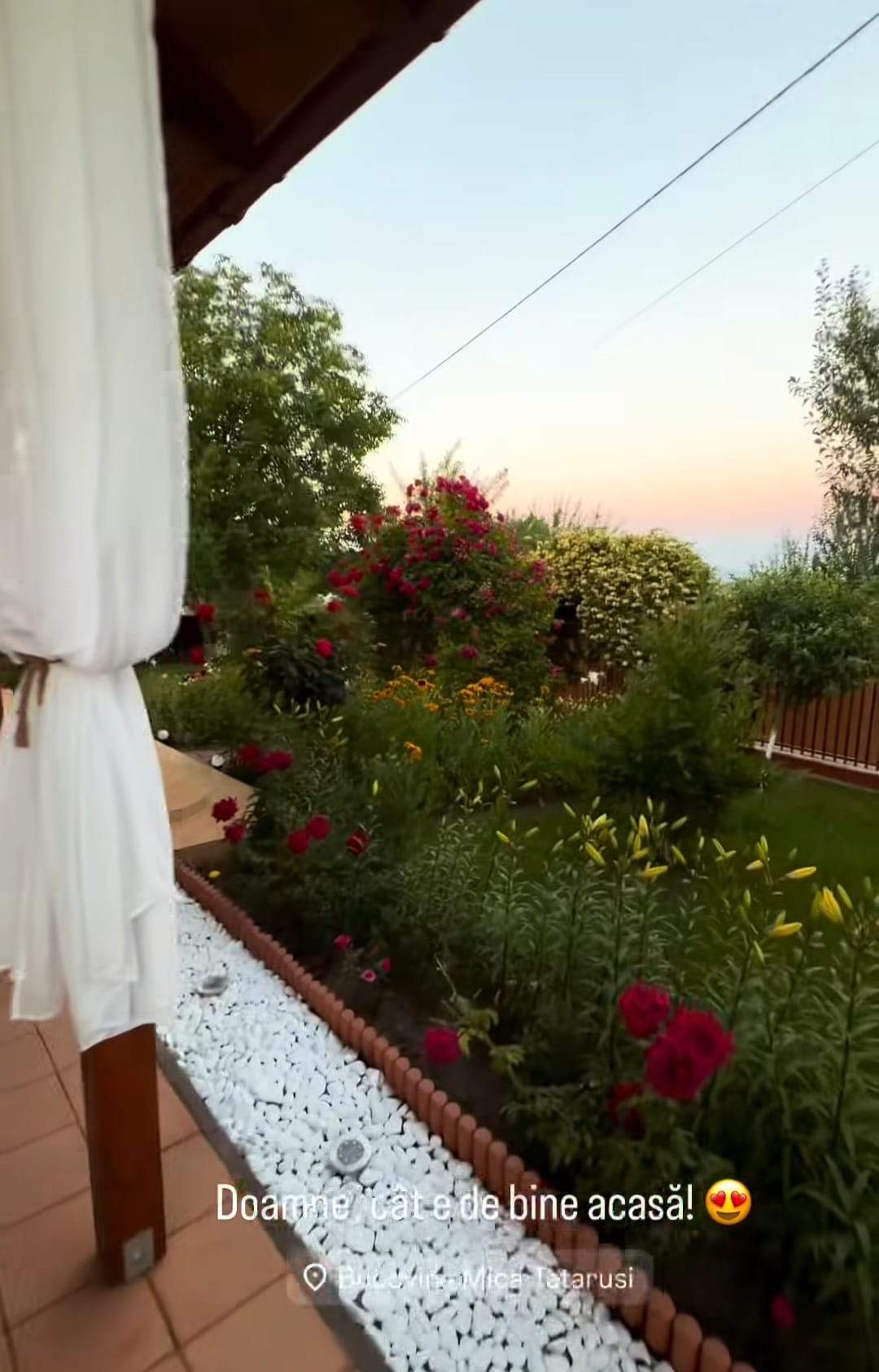 casa Codruței Filip