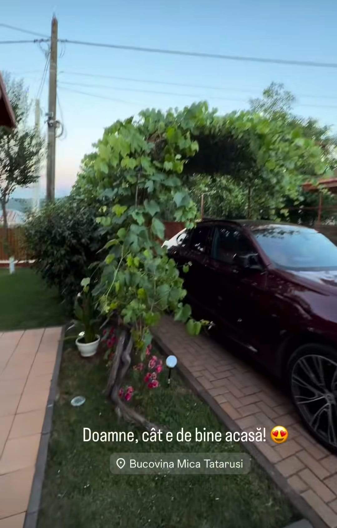 casa Codruței Filip