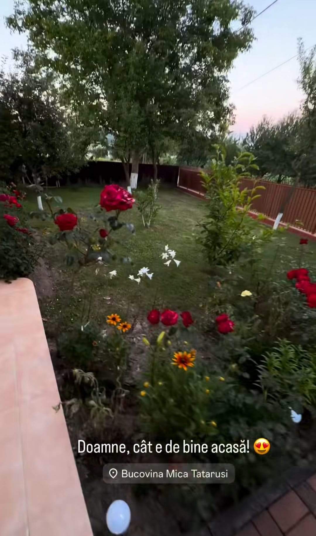 casa Codruței Filip