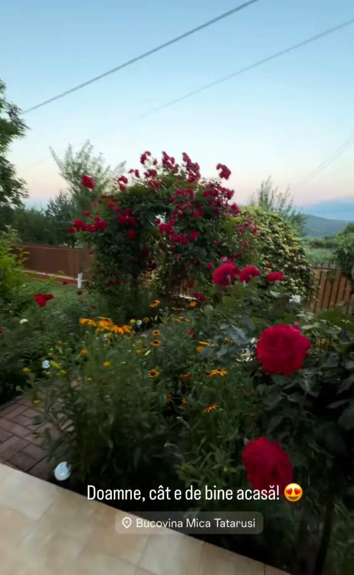 casa Codruței Filip