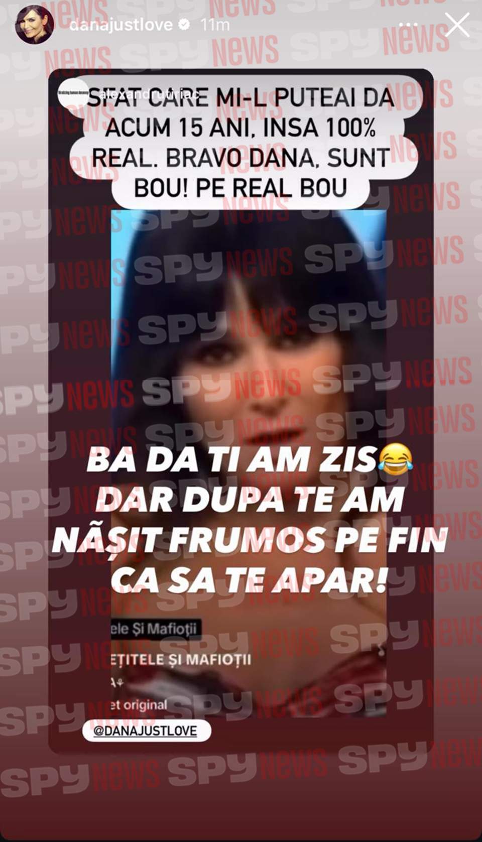 Ce sfat i-a oferit Dana Budeanu lui Ion Ion Ţiriac! Milionarul nu a ţinut cont, iar acum regretă! | VIDEO