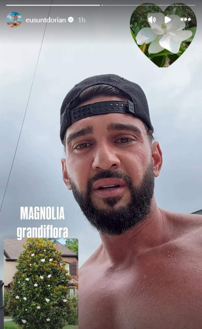 Dorian Popa l-a dus acasă pe Cheluțu! Gestul emoționant făcut de vlogger în memoria cătețului