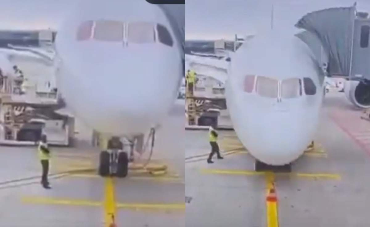 avion
