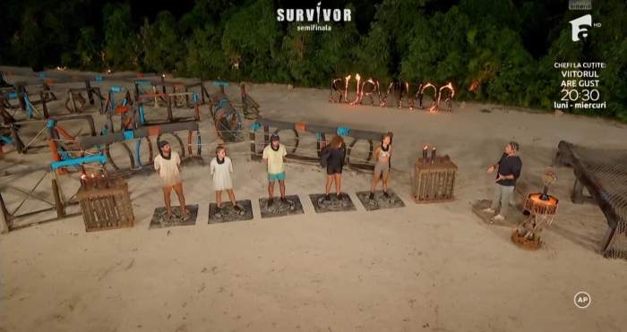 survivor