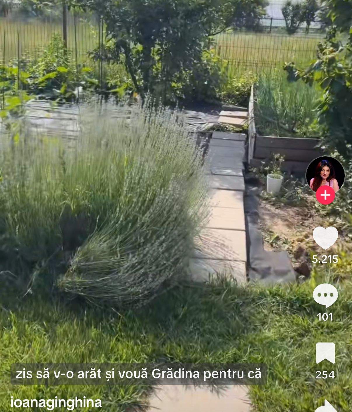 Cum arată grădina Ioanei Ginghină! Actrița a demonstrat că este o gospodină desăvârșită