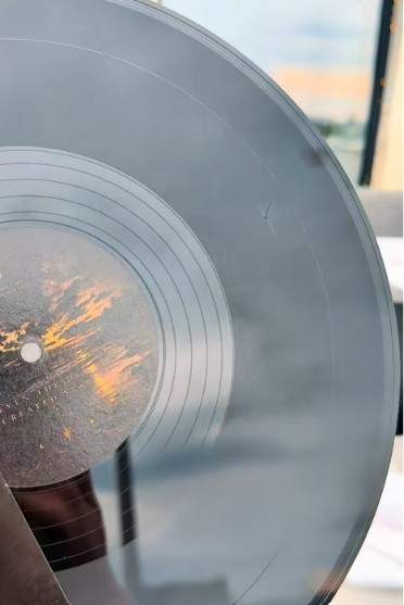 vinil