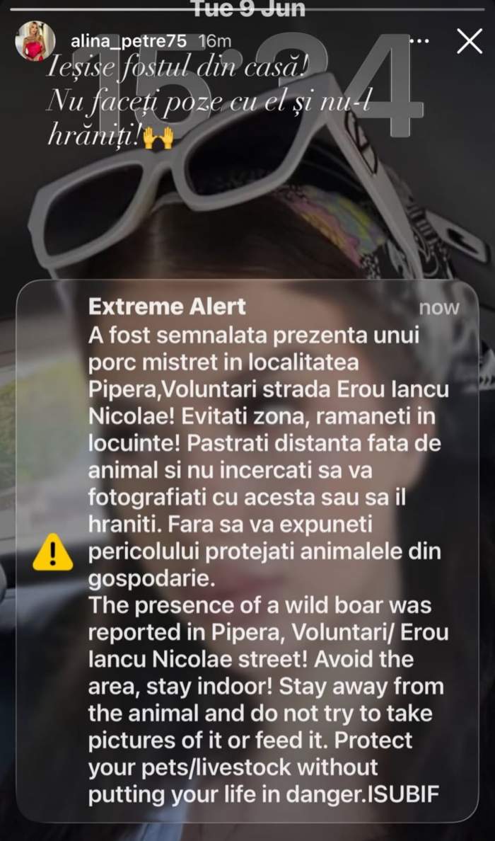 Mesajul Alinei Petre