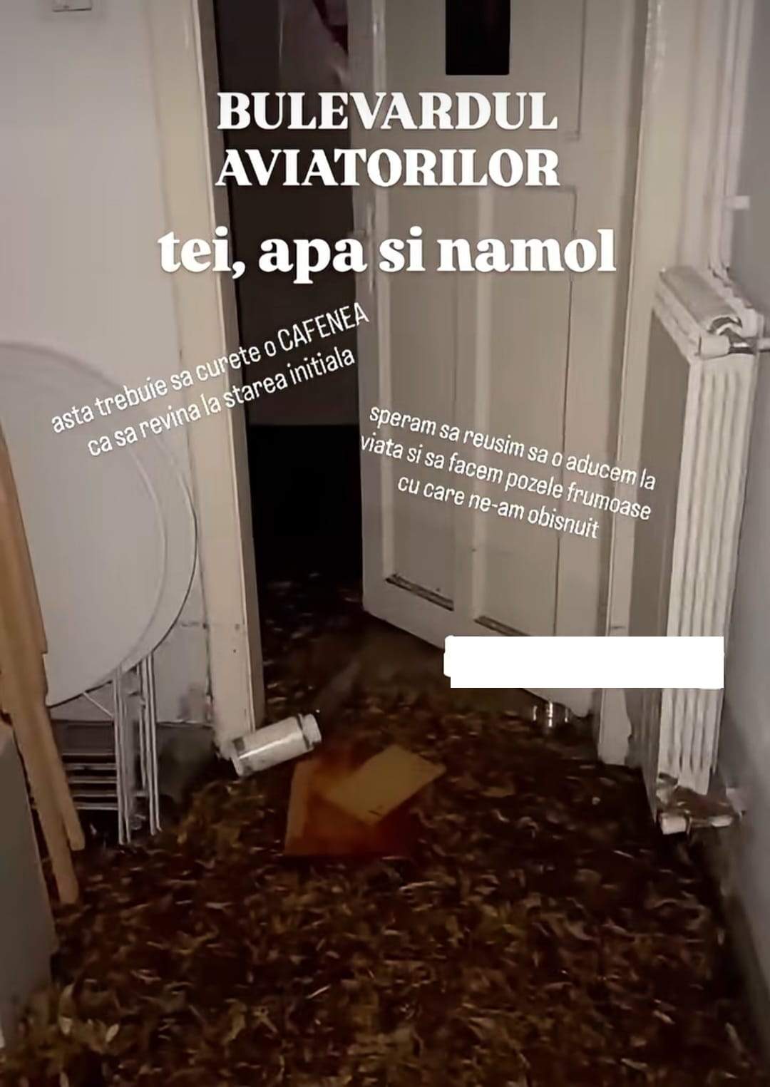 Imagini șocante dintr-o cafenea de fițe din București! Apa a deschis ușile și a intrat în locație