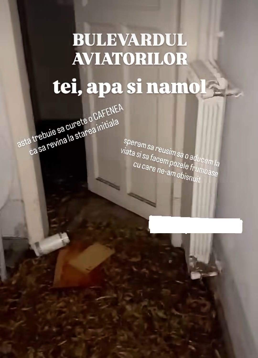 Imagini șocante dintr-o cafenea de fițe din București! Apa a deschis ușile și a intrat în locație