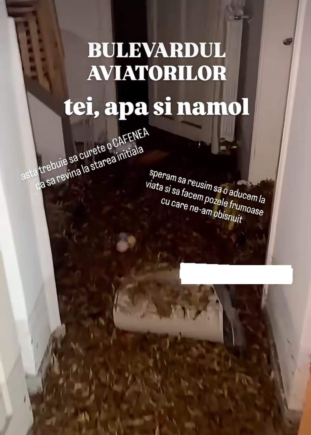 Imagini șocante dintr-o cafenea de fițe din București! Apa a deschis ușile și a intrat în locație