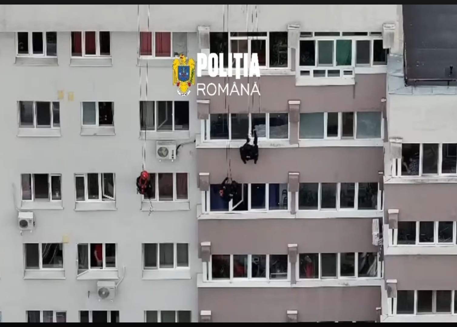 Cine este femeia din cauza căreia mascații au coborât în rapel, pe un bloc din București. Ce meserie are