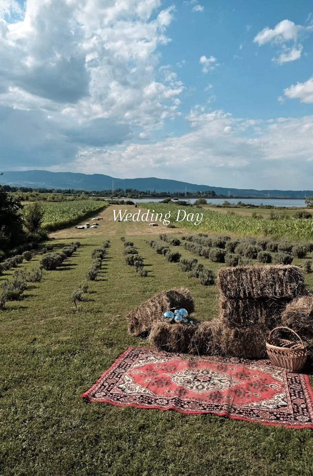 Actrița Vichi Raileanu s-a căsătorit! Imagini de senzație de la nuntă | FOTO