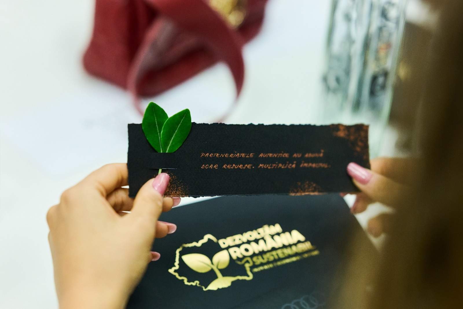 Gala „Dezvoltăm România Sustenabil” 2026 – The power of continuity. Marile companii au fost premiate pentru proiectele care schimbă România şi au predat ștafeta binelui