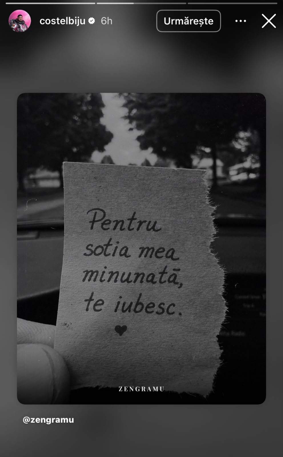 Mesajul lui Costel Biju