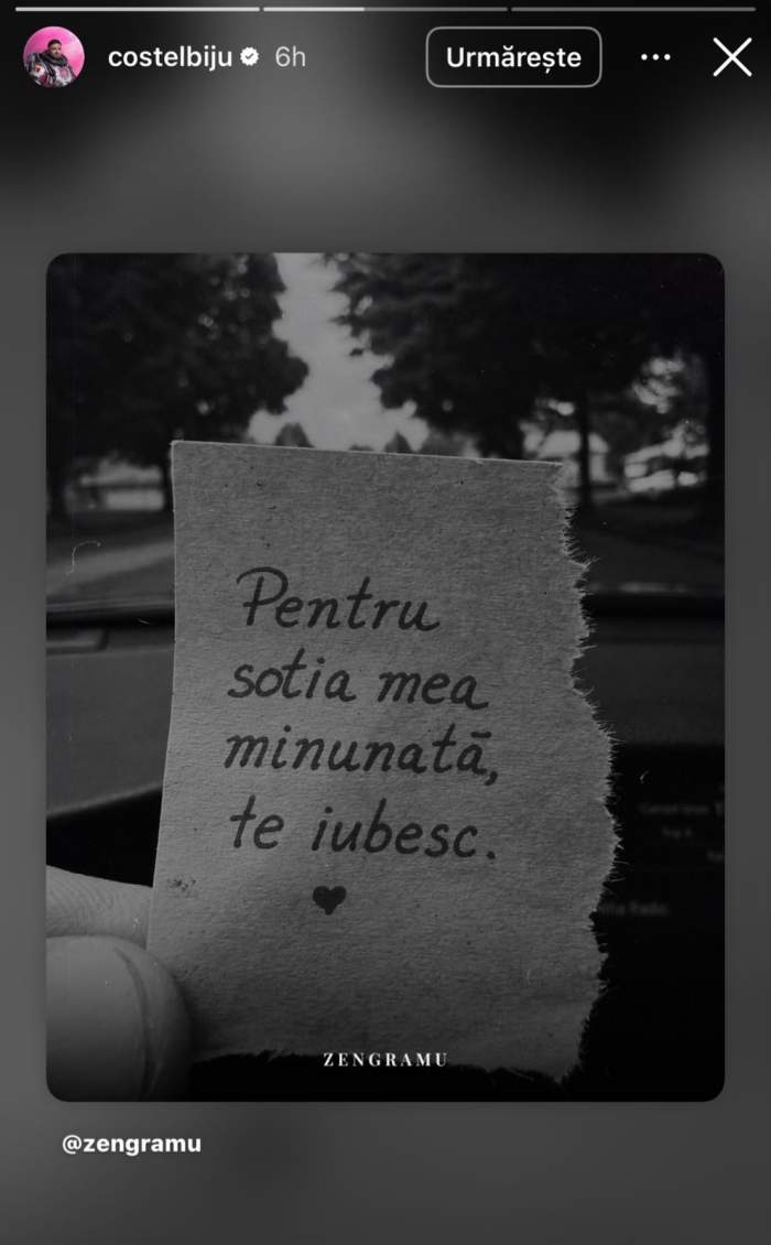 Mesajul lui Costel Biju