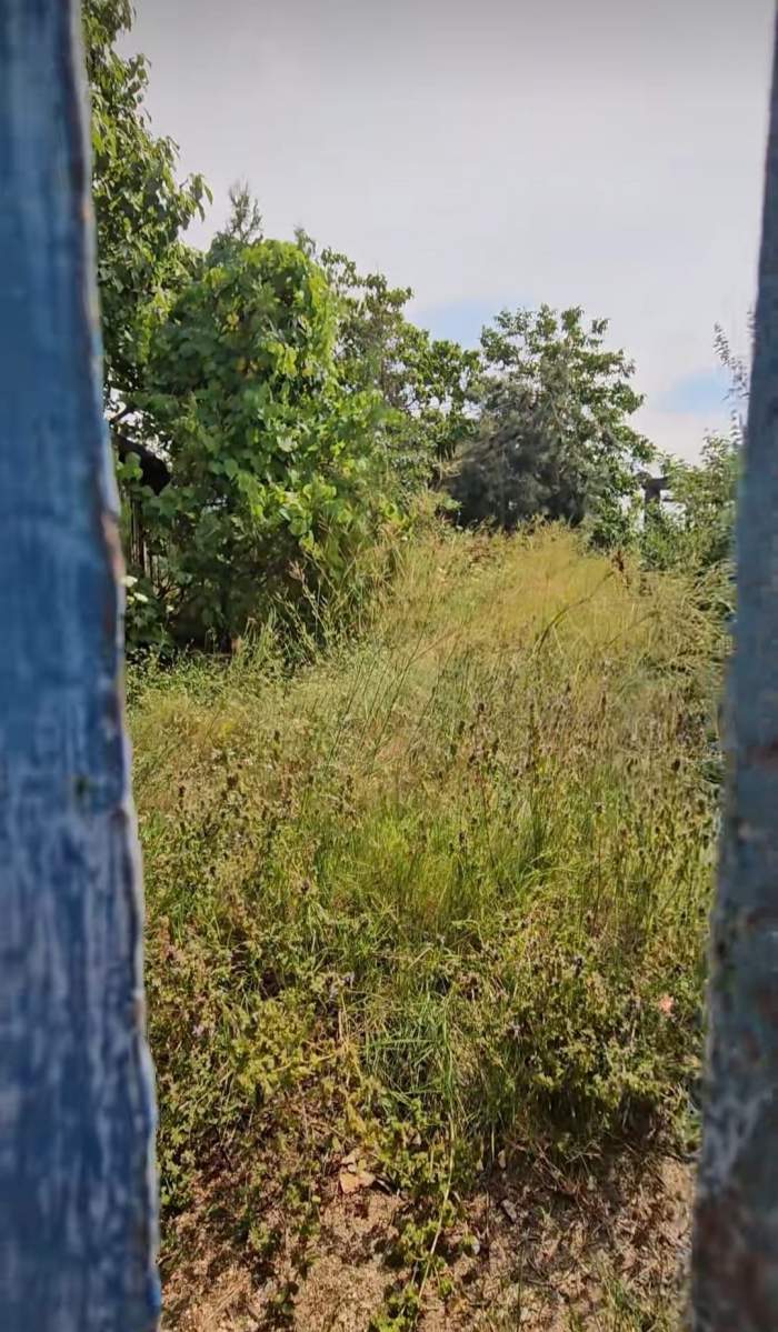 casa lui Gheorghe Dincă