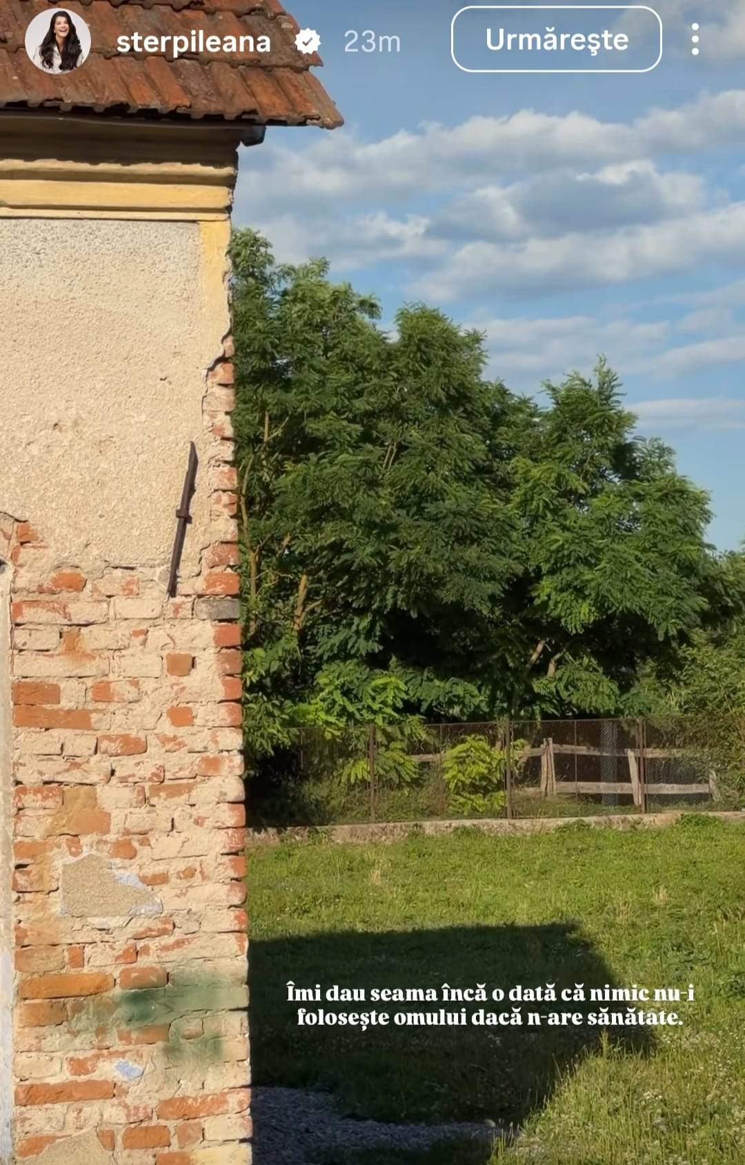 mesajul Ilenei Sterp