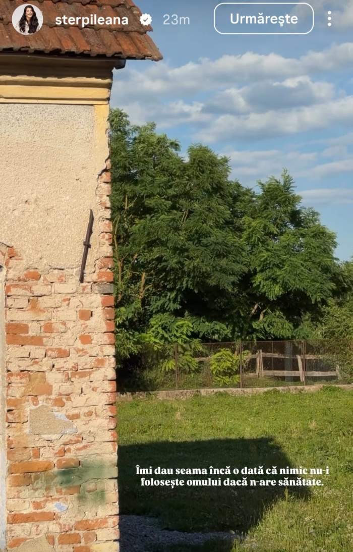 mesajul Ilenei Sterp