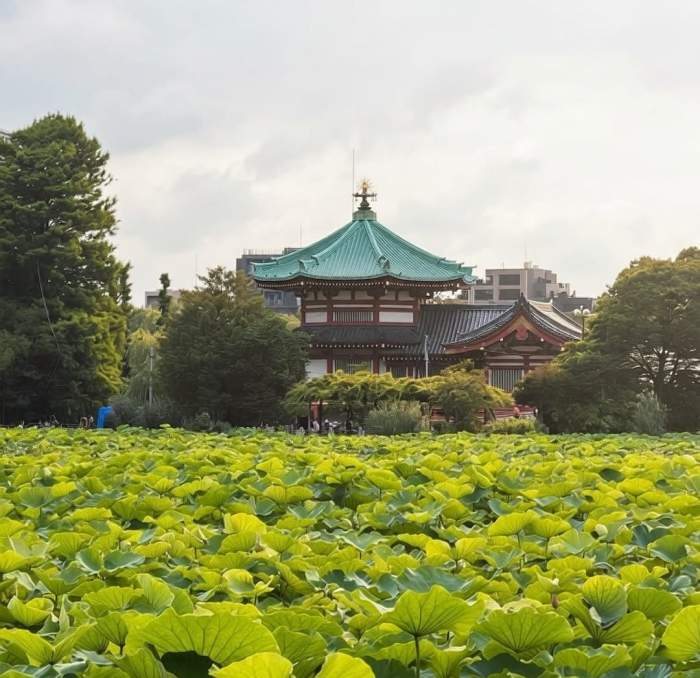 Cum a schimbat-o vacanța din Japonia pe Denisa, soția lui Flick! Ce face diferit