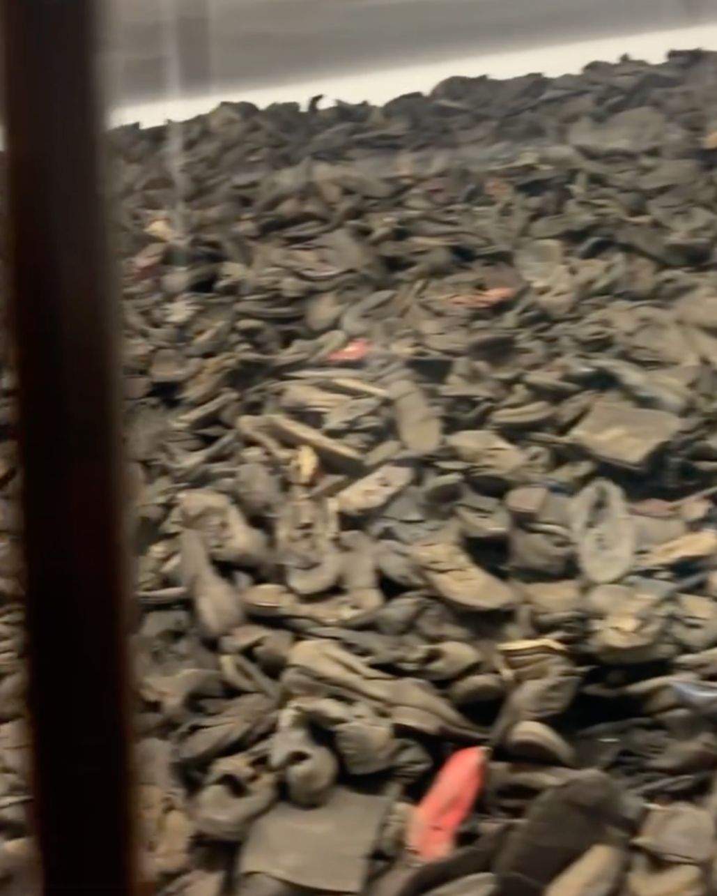 Mirela Retegan de la Asia Express, profund marcată după ce a vizitat Auschwitz! Ce mărturisiri tulburătoare a făcut