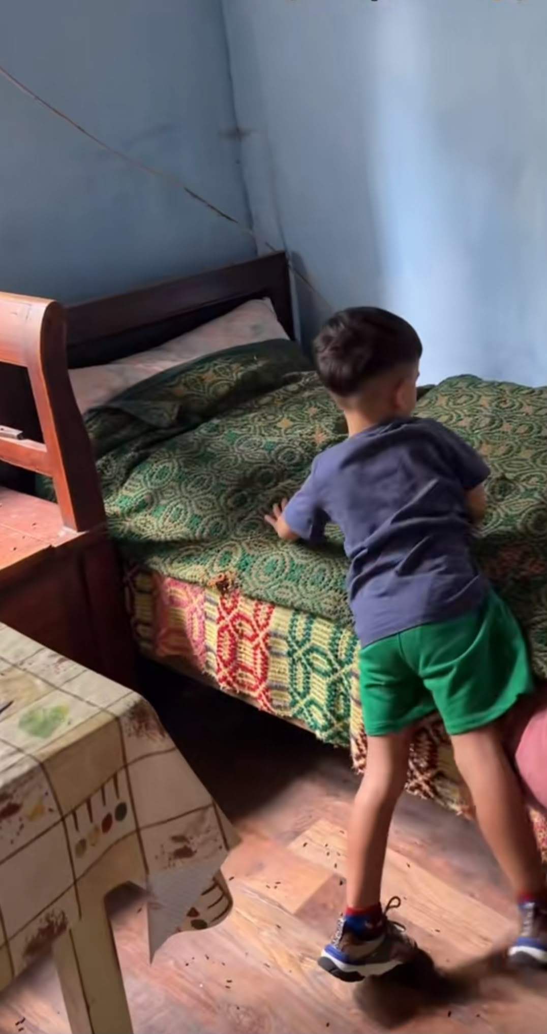 Cum arată casa bunicilor Vlăduței Lupău. Cântăreața s-a întristat când a ajuns acolo
