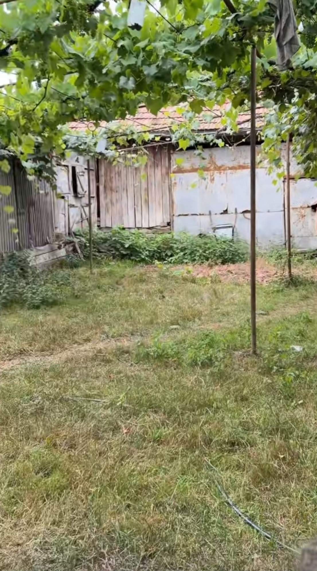 Cum arată casa bunicilor Vlăduței Lupău. Cântăreața s-a întristat când a ajuns acolo