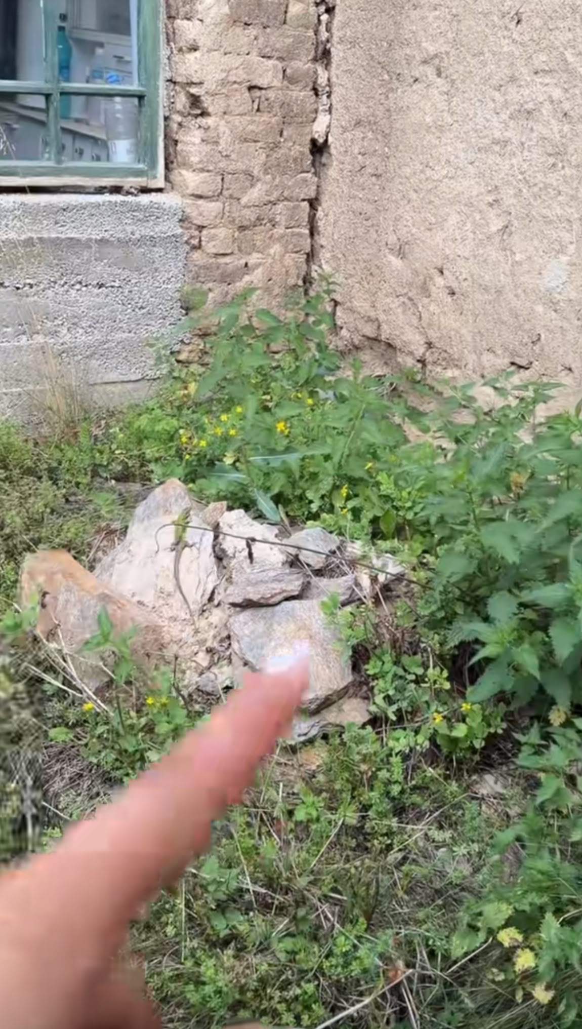 Cum arată casa bunicilor Vlăduței Lupău. Cântăreața s-a întristat când a ajuns acolo