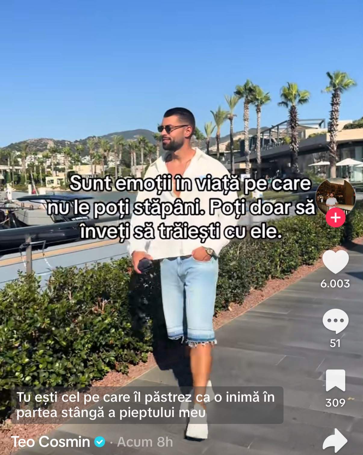 Mesajul lui Teo Costache