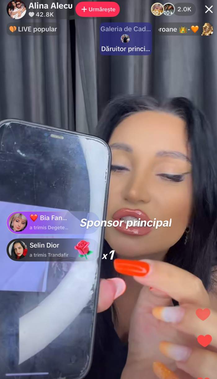 Alina Alecu, pe Tiktok