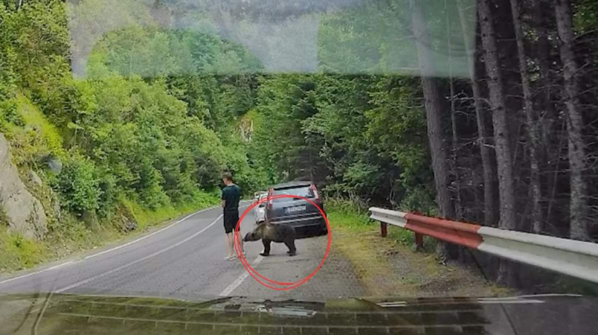 Momentul în care un bărbat era să fie mușcat de urs