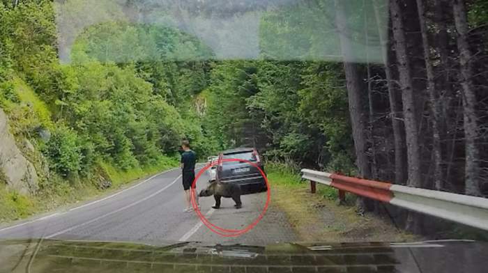 Momentul în care un bărbat era să fie mușcat de urs
