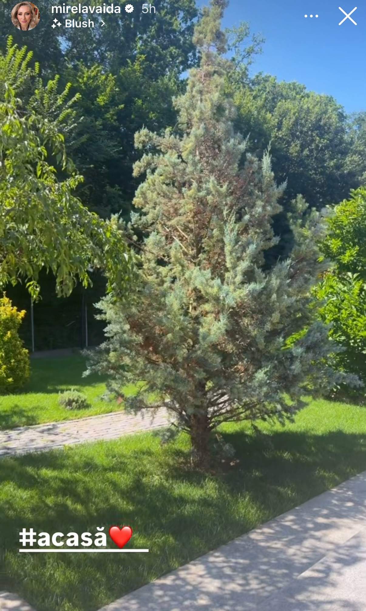 Cum arată curtea Mirelei Vaida. Frumoasa prezentatoare se bucură de o adevărată oază de liniște | GALERIE FOTO