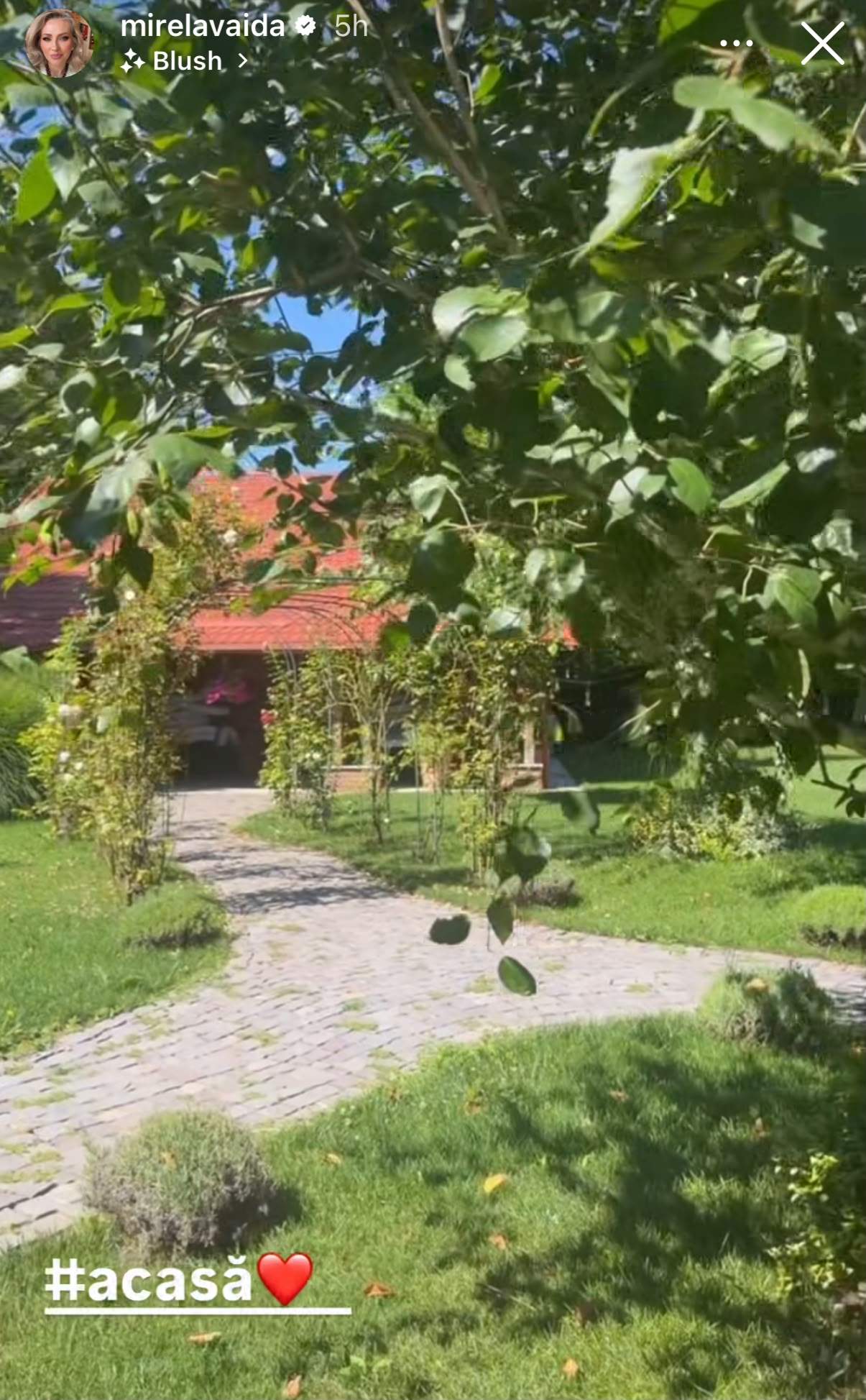 Cum arată curtea Mirelei Vaida. Frumoasa prezentatoare se bucură de o adevărată oază de liniște | GALERIE FOTO