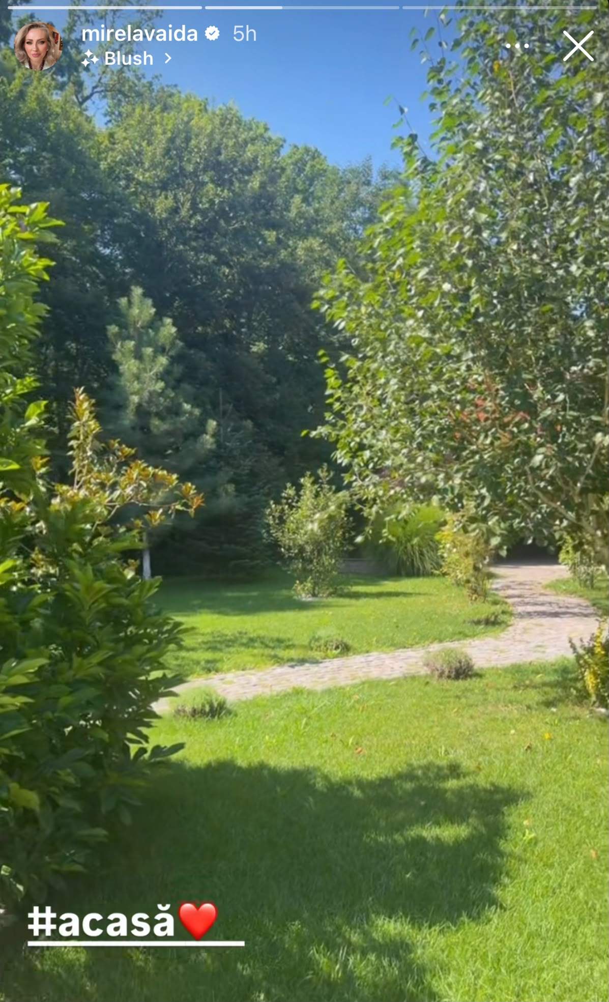 Curtea Mirelei Vaida